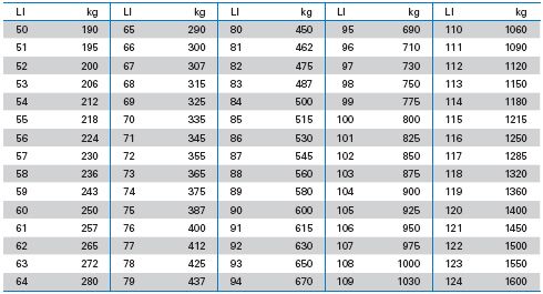 Reifenhandel Pfunds - Load Index / Last Index